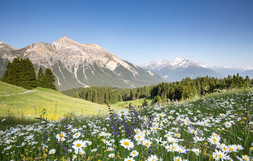 Bergsommer in der Ferienregion Lenzerheide | © Adrian Fluetsch 