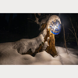 FRACTAL LIGHTS.jpg | © Bild: Cemil Erkoc / Lichtkunst: Artificial Owl